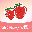 草莓公园新版